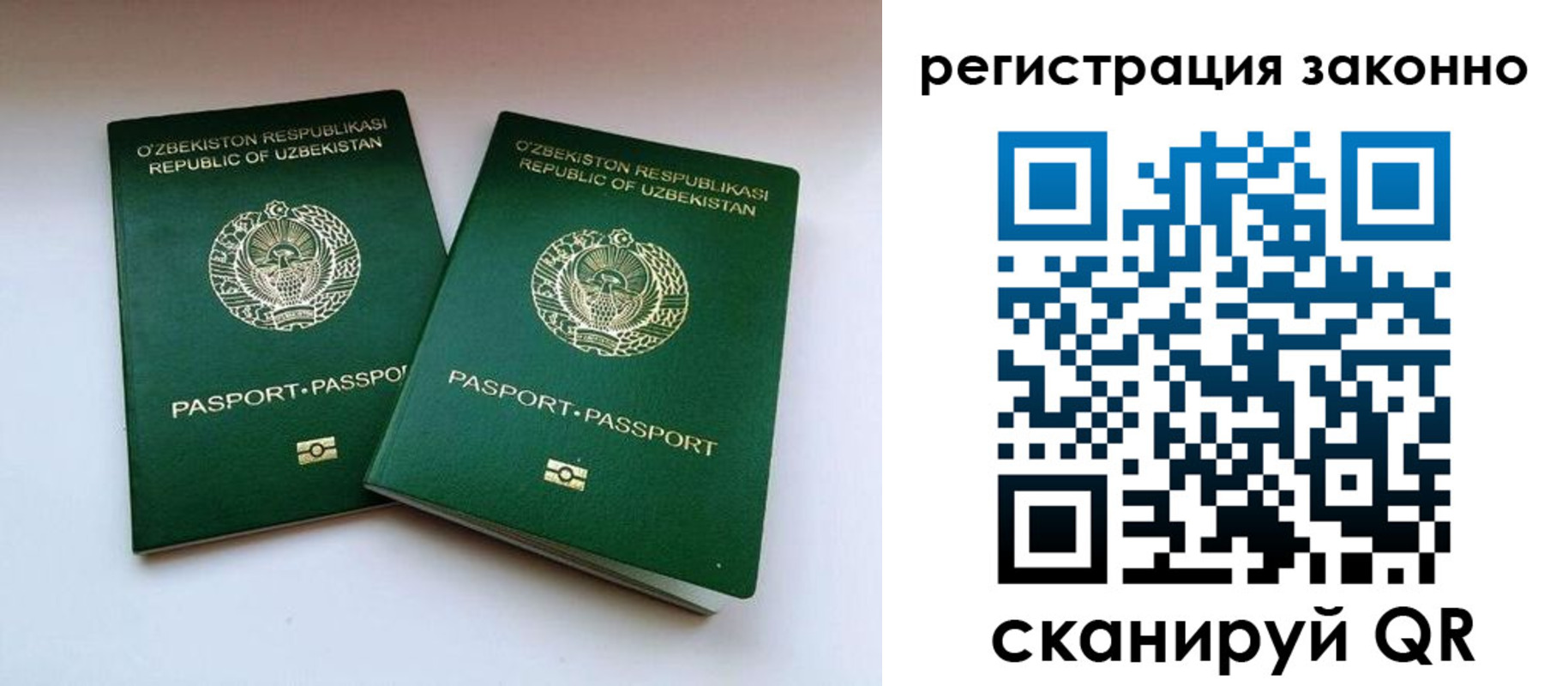 прописка гарантия в Реже